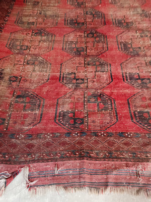 Antique Bokhara Rug |  9' 2" x 7' 2"