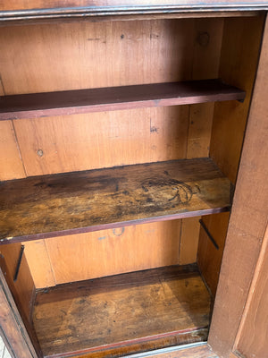 Pair of Antique William IV Mahogany Hall Cabinets