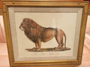Karl Joseph Brodtmann Lithographs of Big Cats