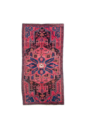 Mid-20th Century Zanjan Persian Rug (3'5" x 7') - ON HOLD